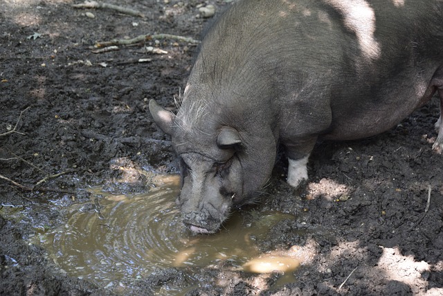 在上个赛季 在上个赛季