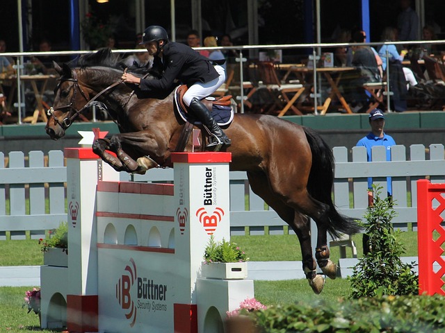 不仅因为杜 不仅因为杜