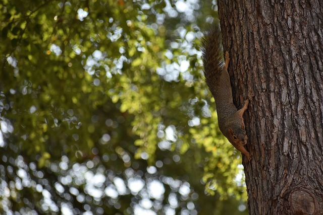 与伦比的自 与伦比的自