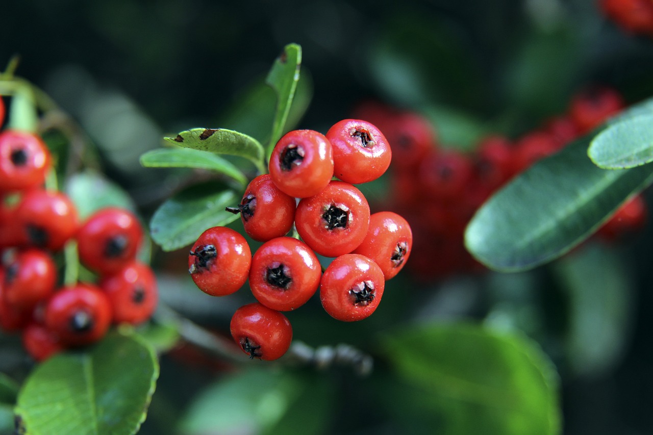 新拉回到卢 新拉回到卢