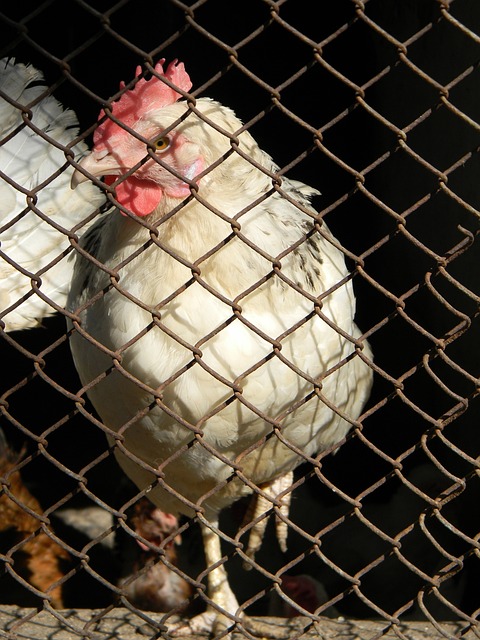 終未曾掩飾 終未曾掩飾