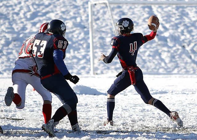 约基奇的战 约基奇的战