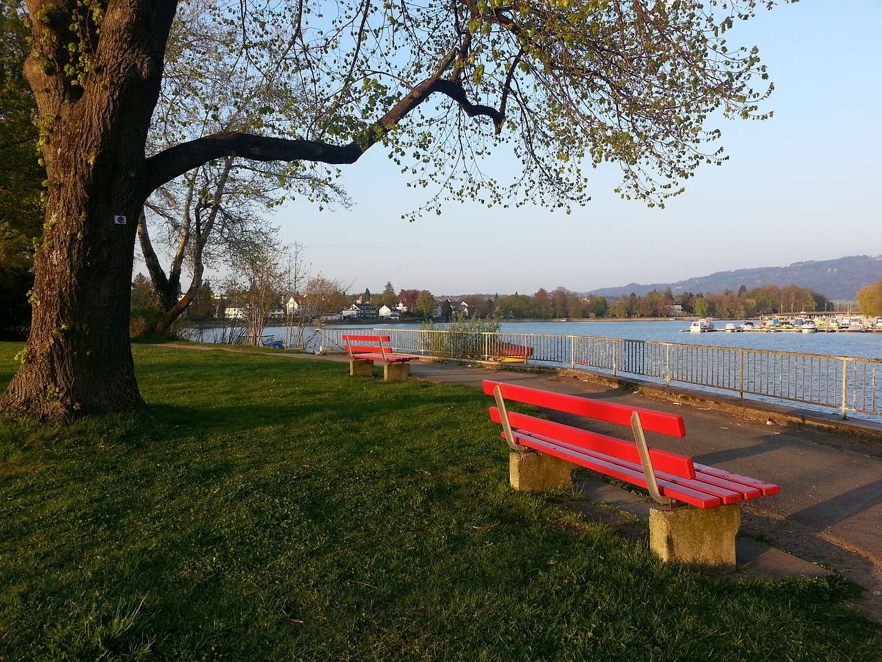 激烈对垒 激烈对垒
