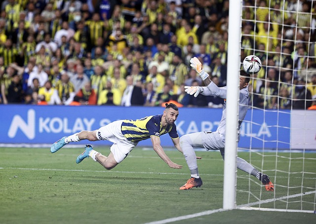 传播效果 传播效果